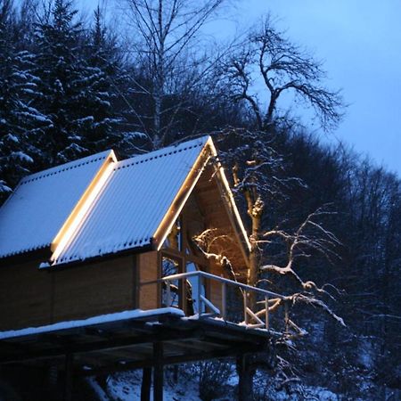 Tree House - Tara Place 모이코바츠 외부 사진