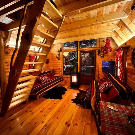 Tree House - Tara Place 모이코바츠 외부 사진
