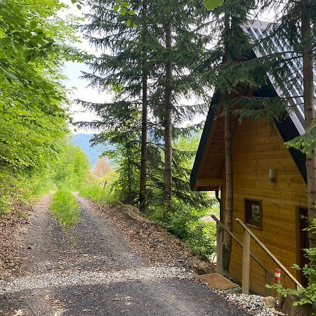 Tree House - Tara Place 모이코바츠 외부 사진
