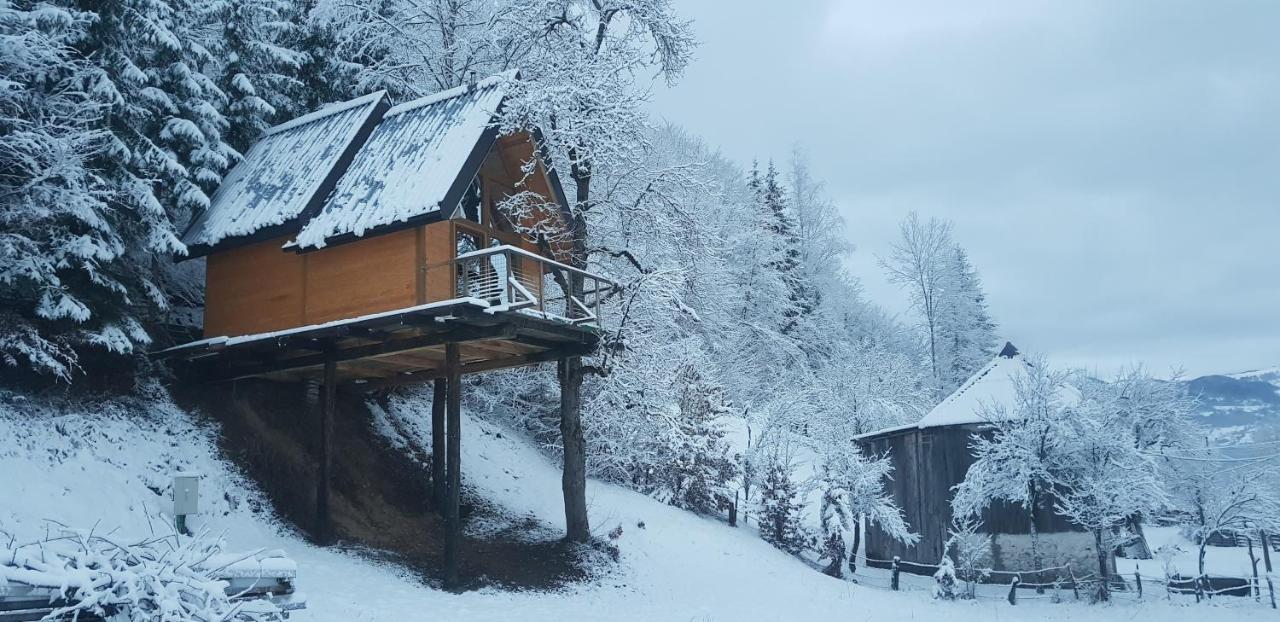 Tree House - Tara Place 모이코바츠 외부 사진