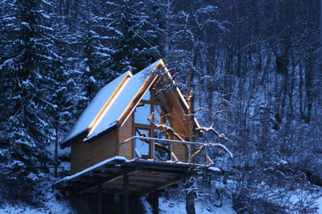 Tree House - Tara Place 모이코바츠 외부 사진