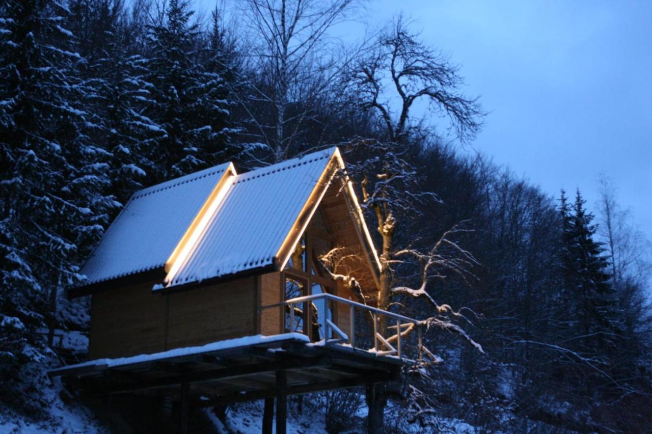 Tree House - Tara Place 모이코바츠 외부 사진