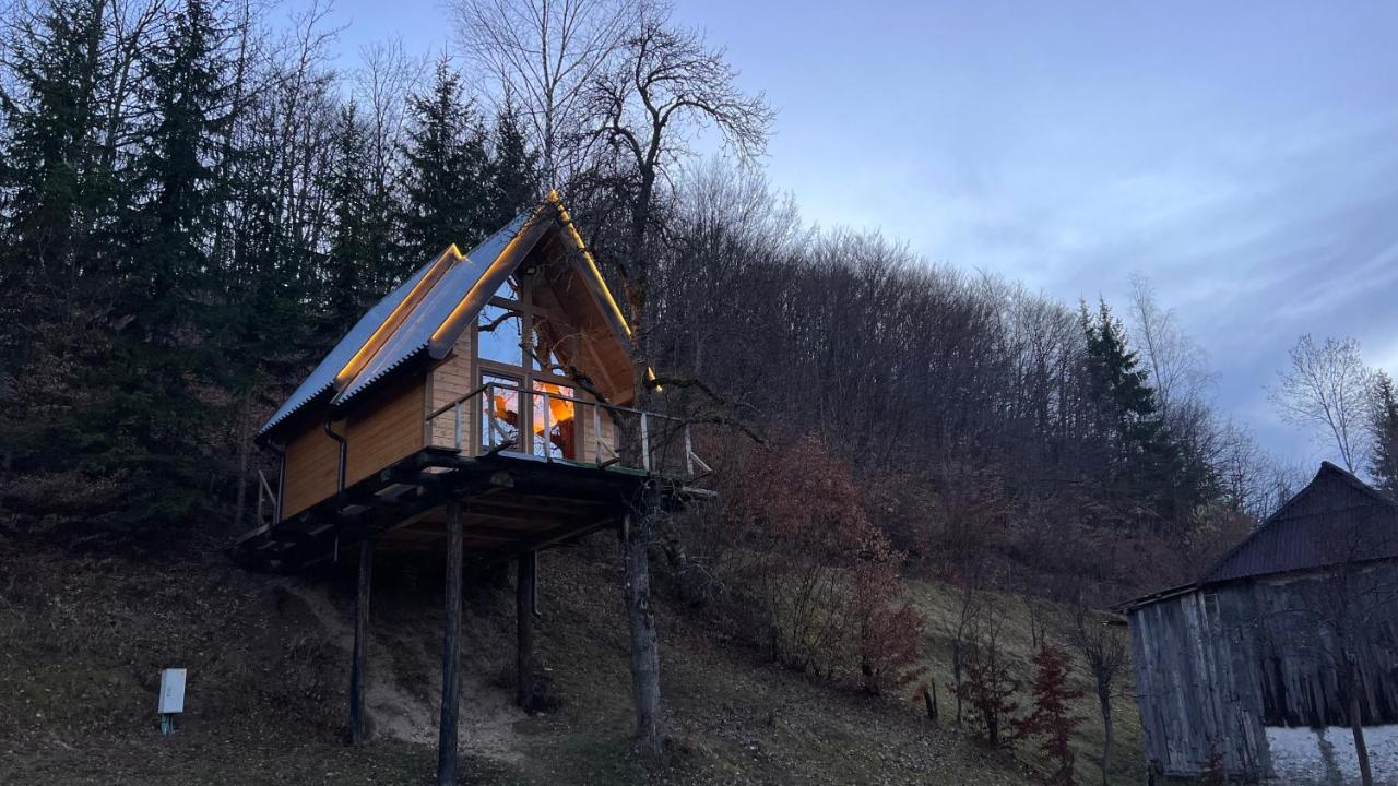 Tree House - Tara Place 모이코바츠 외부 사진
