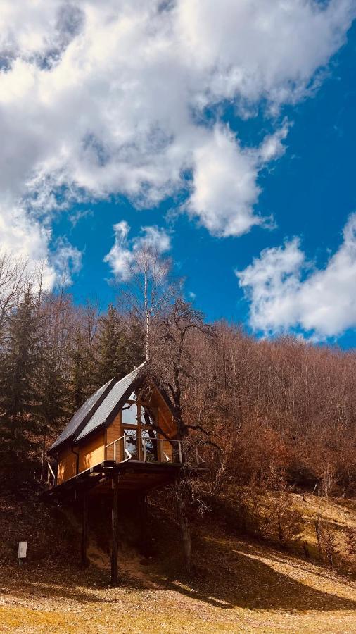 Tree House - Tara Place 모이코바츠 외부 사진