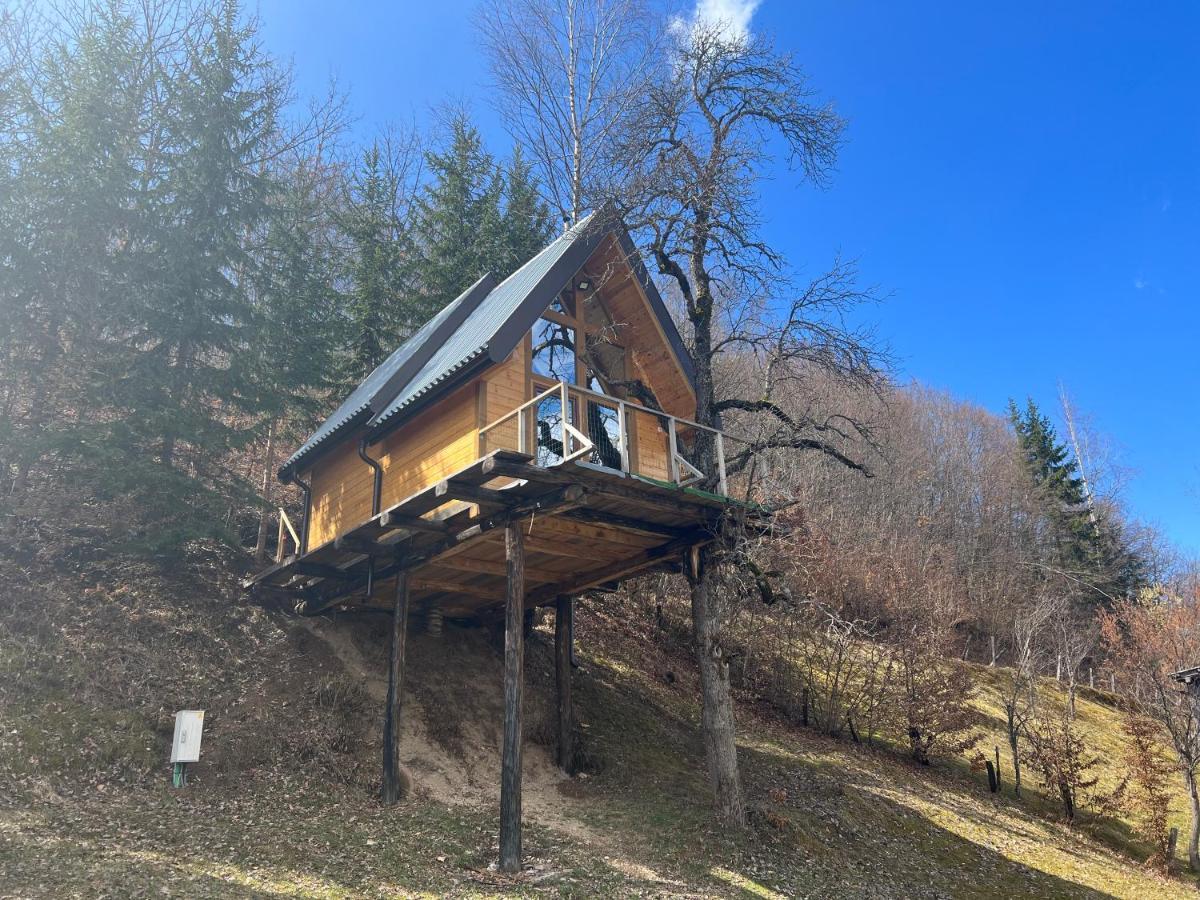 Tree House - Tara Place 모이코바츠 외부 사진