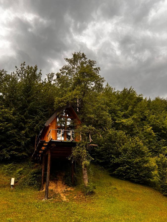 Tree House - Tara Place 모이코바츠 외부 사진