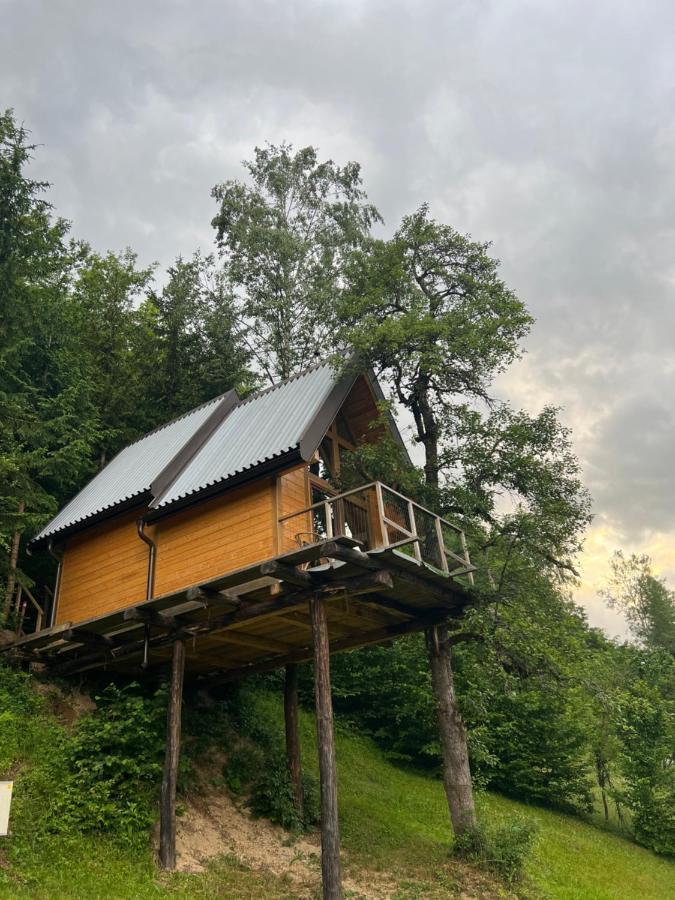 Tree House - Tara Place 모이코바츠 외부 사진