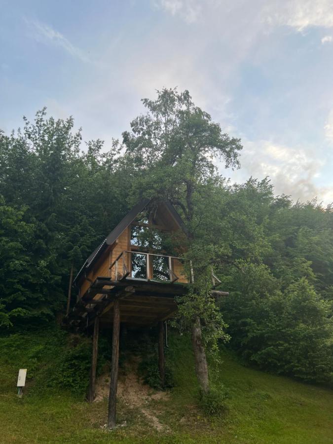 Tree House - Tara Place 모이코바츠 외부 사진