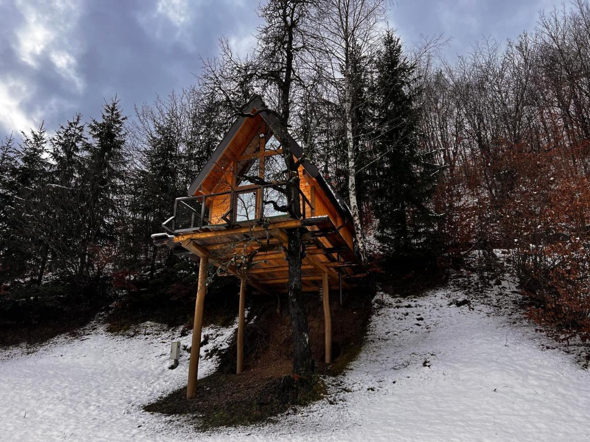 Tree House - Tara Place 모이코바츠 외부 사진