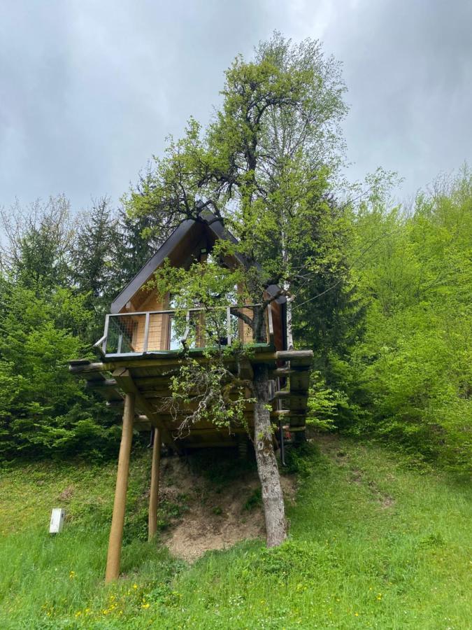 Tree House - Tara Place 모이코바츠 외부 사진