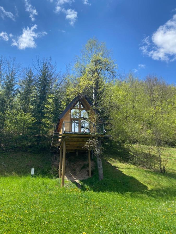 Tree House - Tara Place 모이코바츠 외부 사진