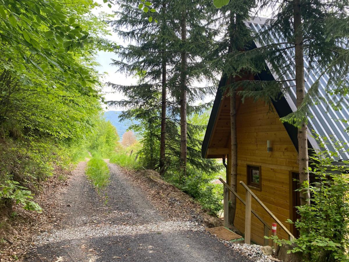 Tree House - Tara Place 모이코바츠 외부 사진